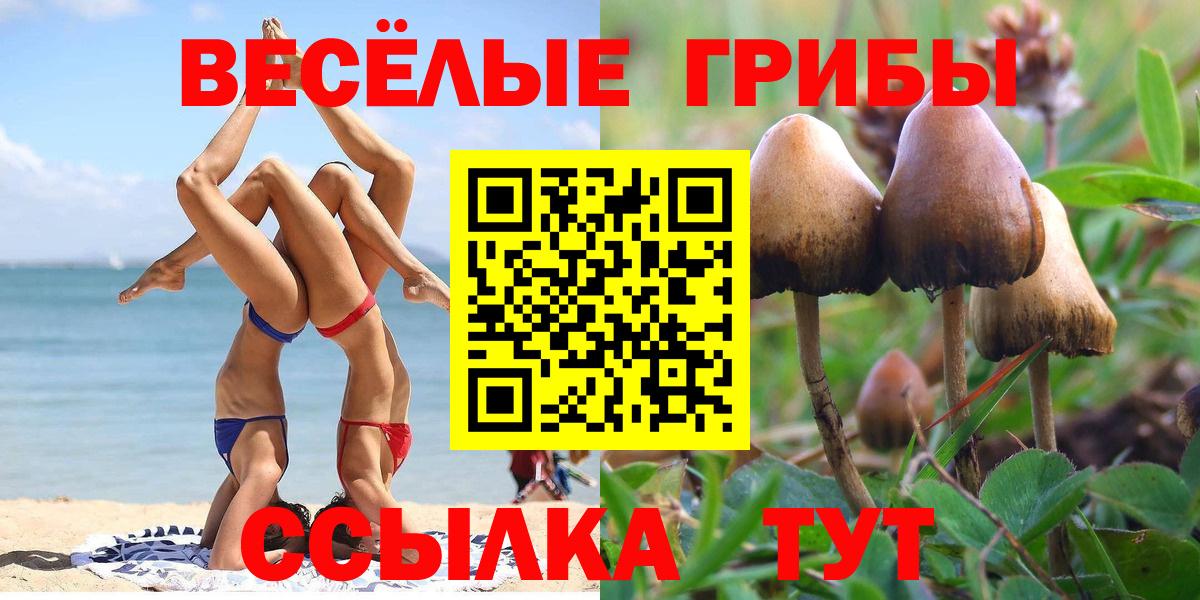 Ирбит  Псилоцибиновые грибы мухоморы  купить  сайты  Вход с VPN  Галлюциногенные грибы Psilocybine cubensis 